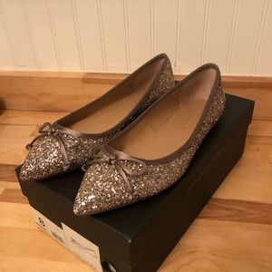 Banana Republic Robin Glitter Ballet Flat